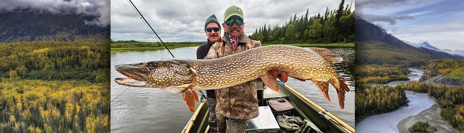 Trophy Pike Fishing in Alaska