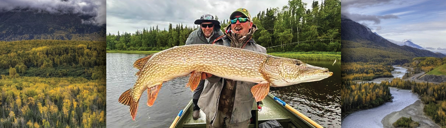 Trophy Pike Fishing in Alaska