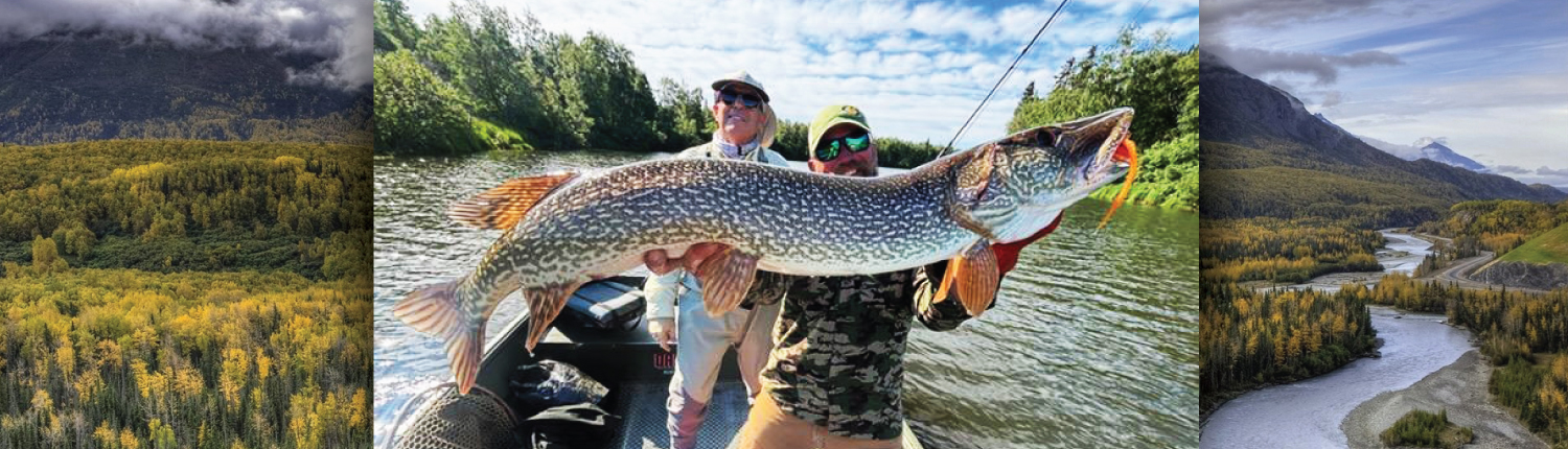 Trophy Pike Fishing in Alaska